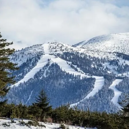 Apartamento Cozy In Semiramida Gardens - Hills 39 Borovets